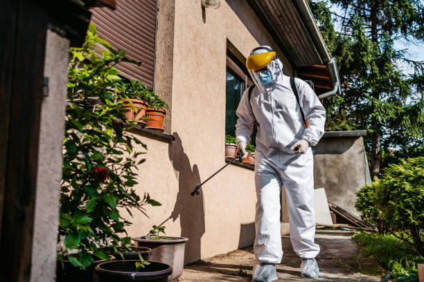 Best Pest Removal Services  in Birdsboro, PA