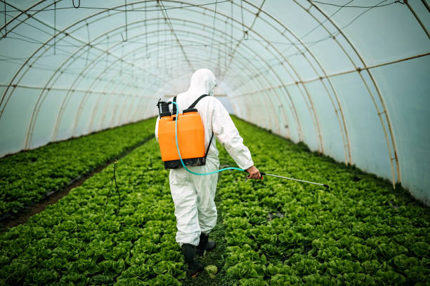 Best Pest Inspection Near Me  in Birdsboro, PA
