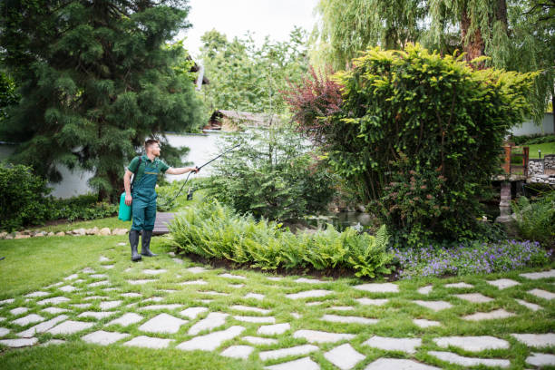 Best Mosquito Control Services  in Birdsboro, PA