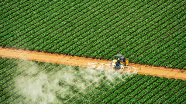 Best Commercial Pest Control Services  in Birdsboro, PA