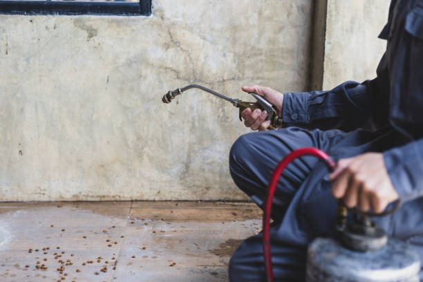 Best Commercial Pest Control Services  in Birdsboro, PA